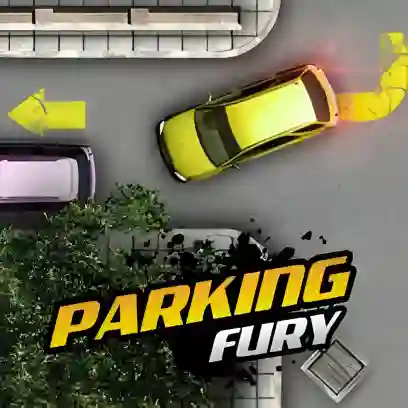 PARKING FURY