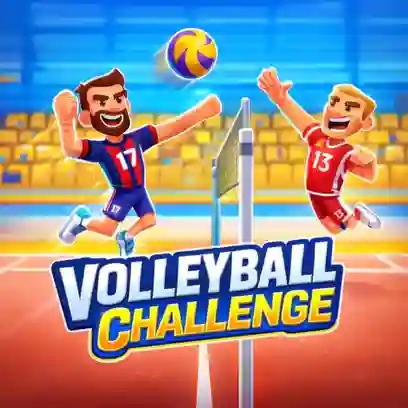 VOLLEYBALL CHALLENGE